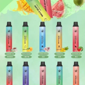 風暴5000口抛棄式-VAPORSTORM一次性電子煙-續航穩定