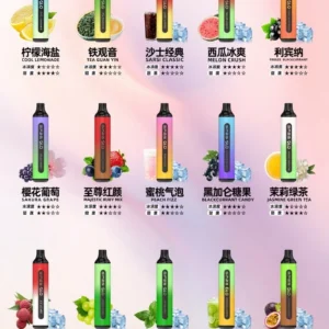 SP2S思博瑞-7000口 拋棄式-高級續航-現貨速發